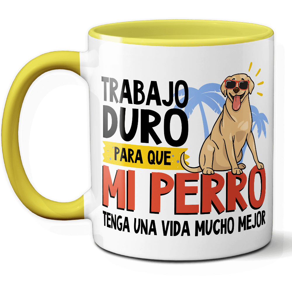 Producto 4