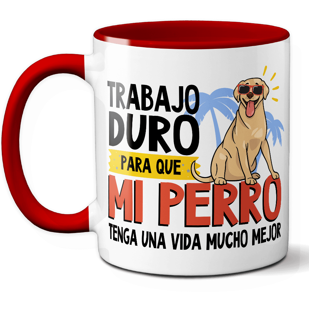 Producto 5
