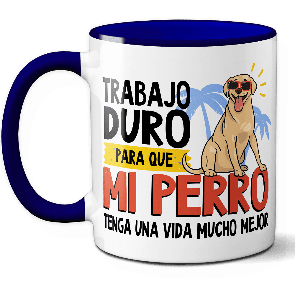 Producto 6